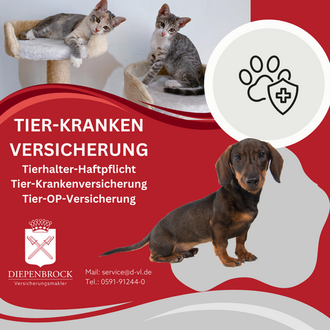 Diepenbrock Versicherungs-Makler