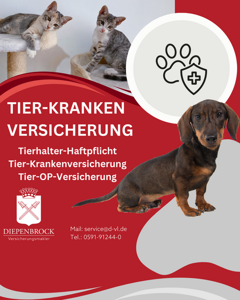 Diepenbrock Versicherungs-Makler