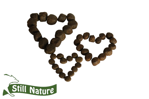 Probenpaket | Still Nature | Welpen und Junghunde