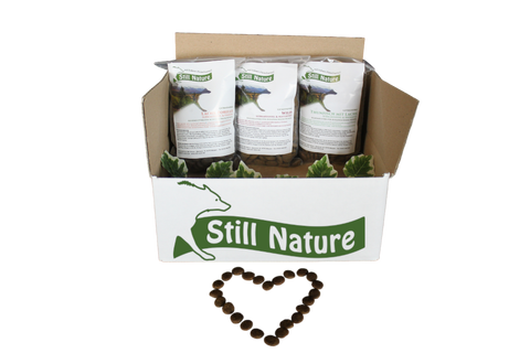 Probenpaket | Still Nature I Fisch