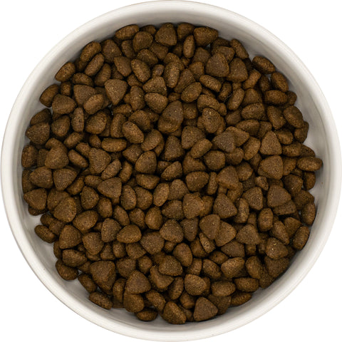 Still Nature | Puppy 65% Truthahn mit Superfoods