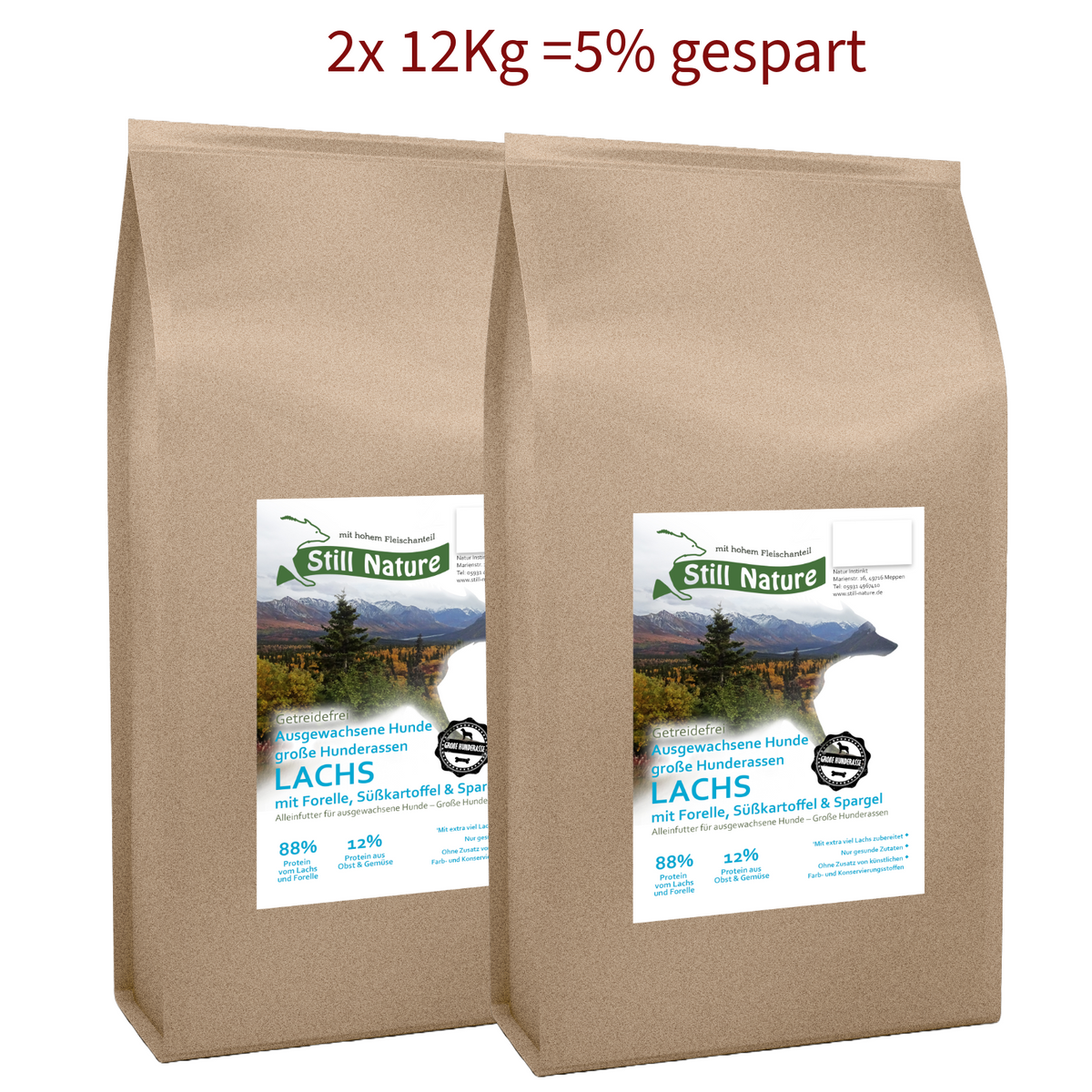 Still Nature | Lachs und Forelle | große Rassen - 2 x 12 kg