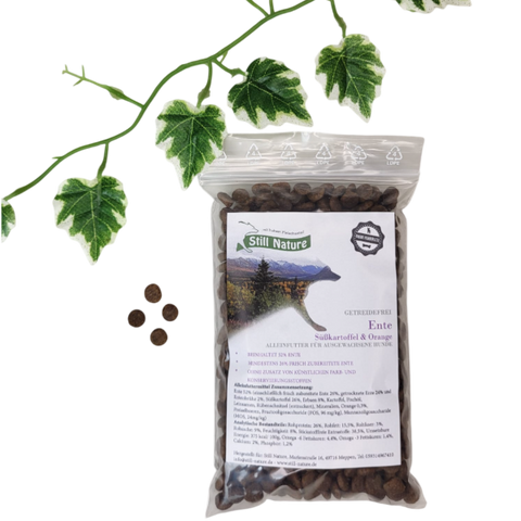 PROBE | Still Nature | Ente mit Süßkartoffel und Orange