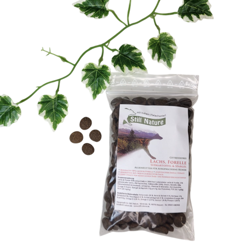 PROBE | Still Nature | Lachs und Forelle mit Süßkartoffel und Spargel