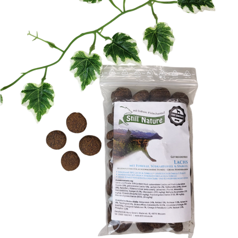 PROBE | Still Nature | Lachs und Forelle | große Rassen