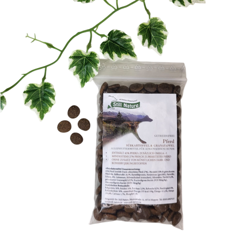 PROBE | Still Nature | Pferd mit Süßkartoffel & Granatapfel