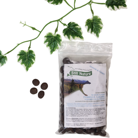 PROBE | Still Nature | Forelle und Lachs mit Süßkartoffel und Spargel | Senior / Light