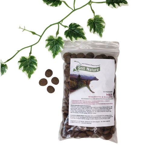 PROBE | Still Nature | Wild und Lachs mit Süßkartoffel und Maulbeere