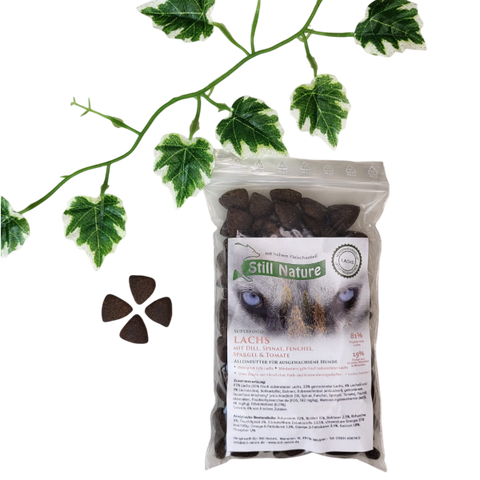 PROBE | Still Nature | 65% Lachs mit Superfoods