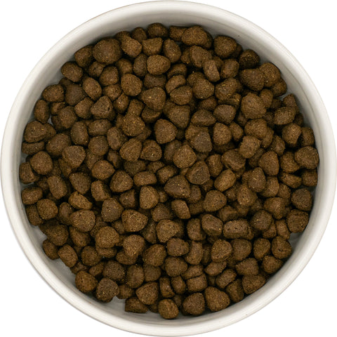 Still Nature | Puppy 65% Angus Rind mit Superfoods