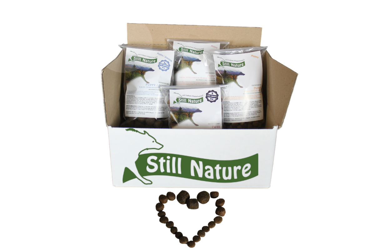 Probenpaket | Still Nature | Welpen und Junghunde