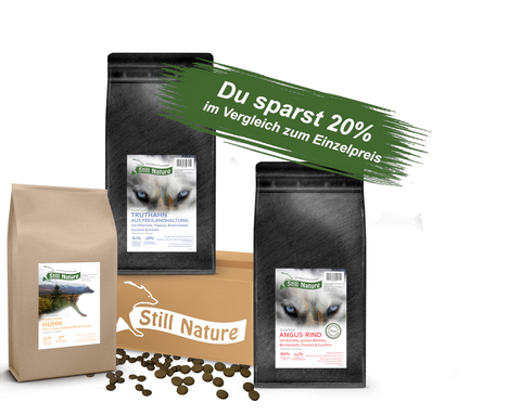 Testpaket | Still Nature | Puppy | Welpen und Junghunde