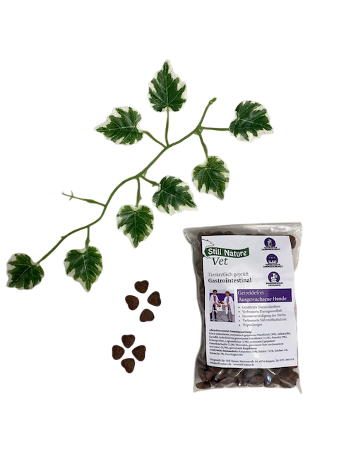 PROBE | Still Nature | Vet Gastrointestinal & Verdauungspflege