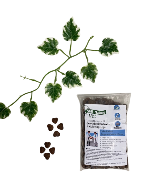 Still Nature | Vet Gewichtskontrolle & Gelenkpflege