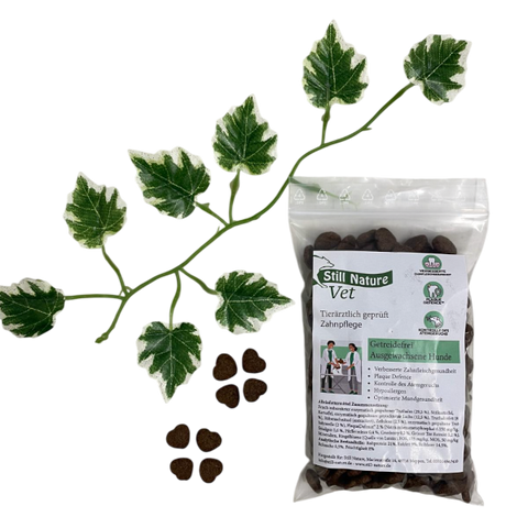 PROBE | Still Nature | Vet Zahnpflege